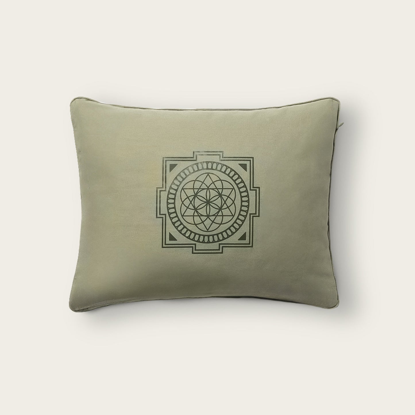 Premium Acupressure Pillow